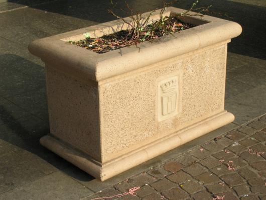 Image31