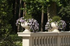 Image06